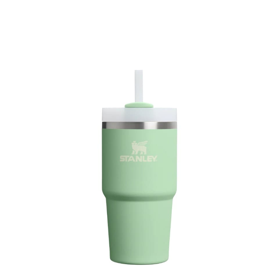 Stanley Quencher H2.0 FlowState™ Tumbler | 0.6L — Pistachio